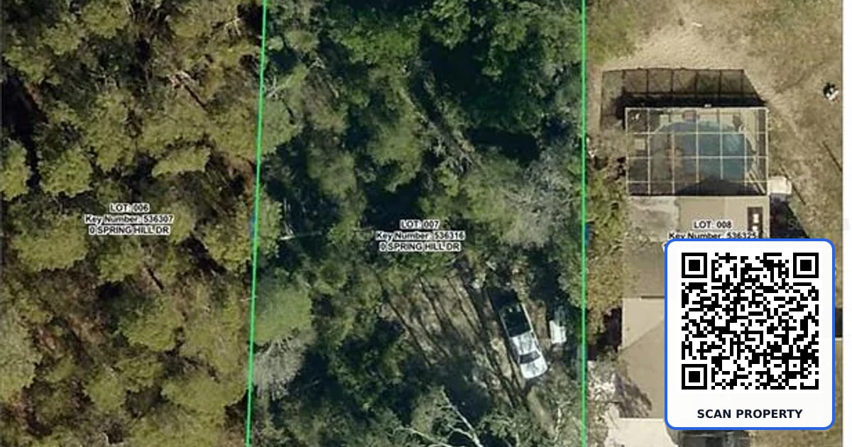 13341 SPRING HILL DRIVE property photo