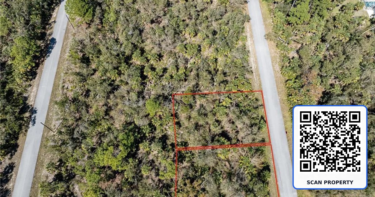 247 & 239 ABELARD STREET property photo