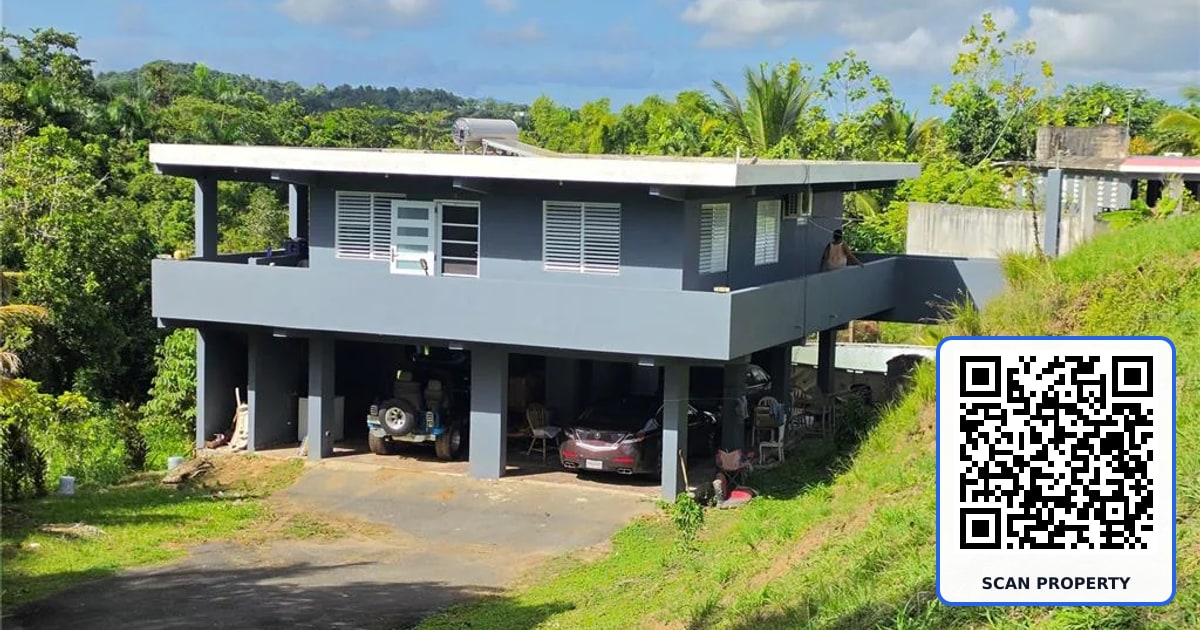 PR 900 BO GUAYABOTA property photo