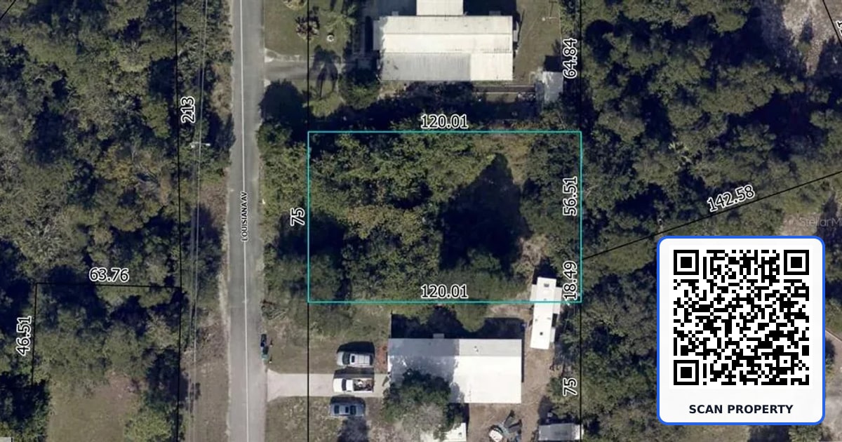 828 LOUISIANA AVENUE property photo
