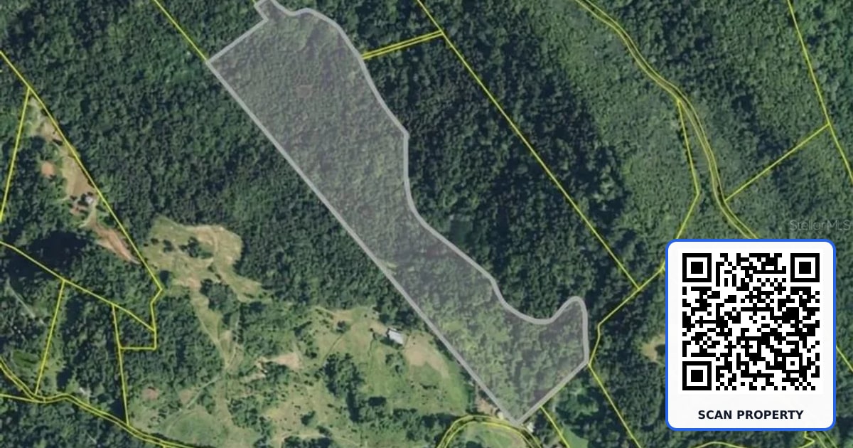 BO. RÍO ARRIBA property photo
