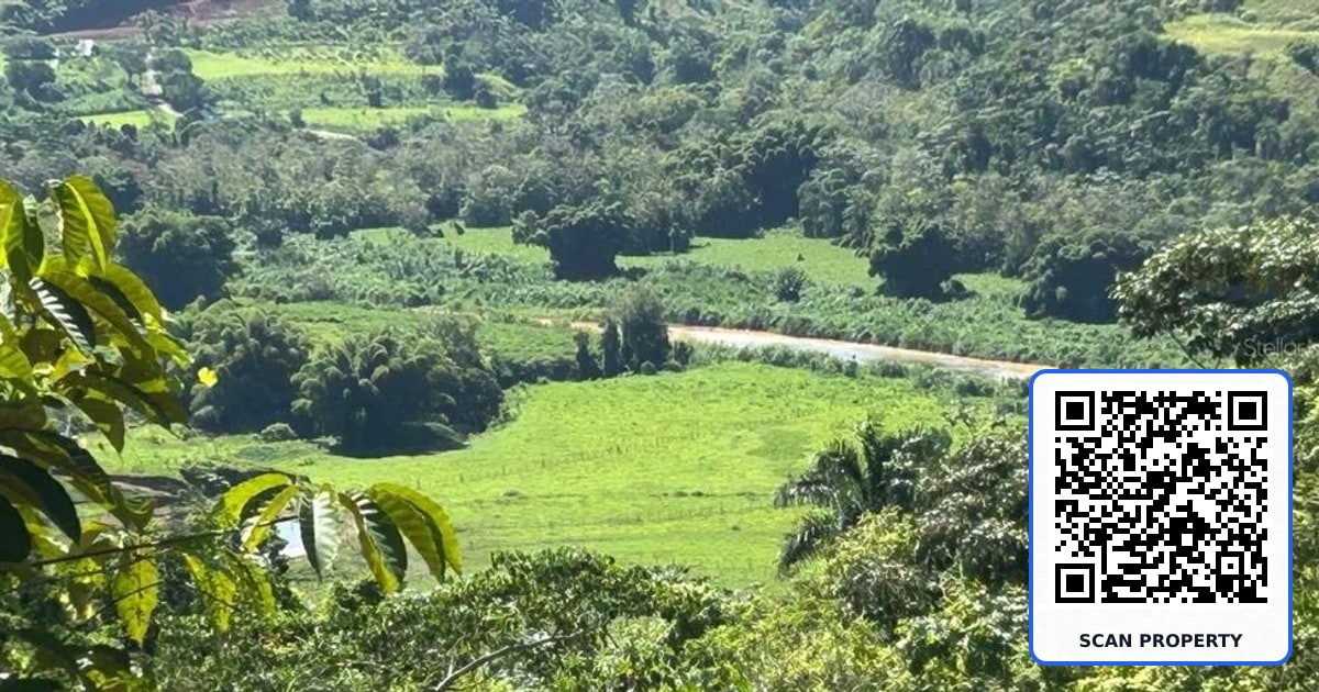 Carr 424 BO GUACIO property photo