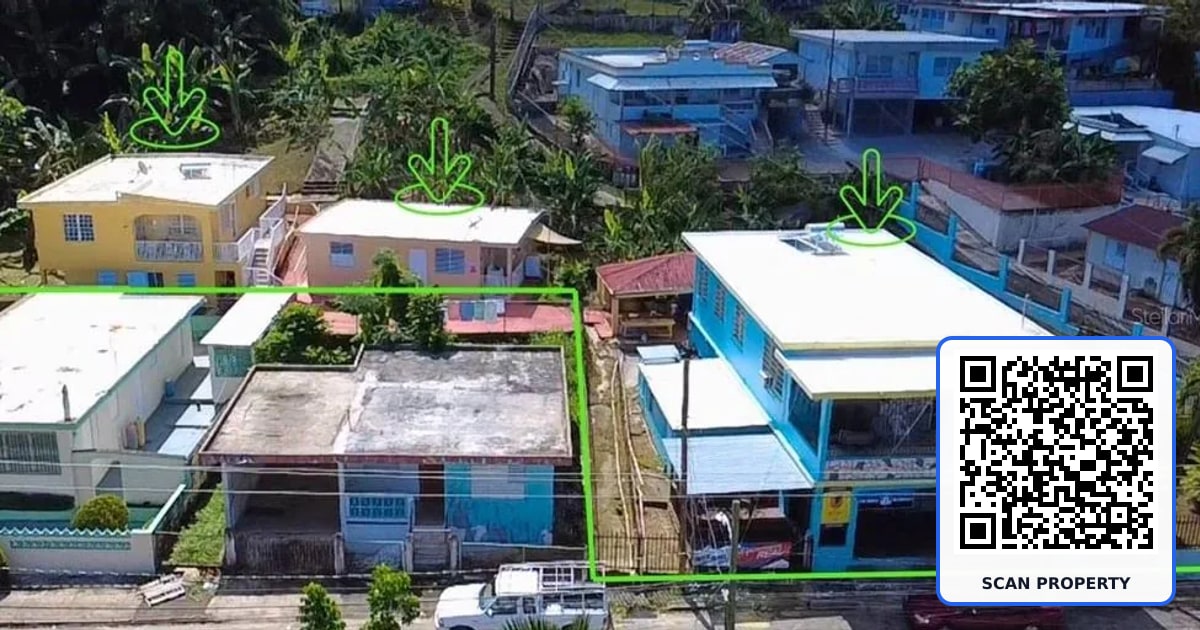 Carr PR-123 Km 78.9 BO HATO VIEJO property photo