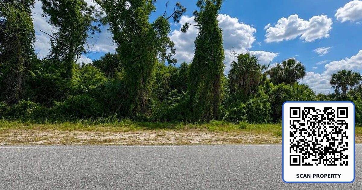 20399 HILLSBOROUGH BOULEVARD property photo