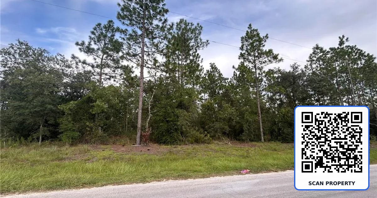 TBD NE 150TH AVENUE property photo