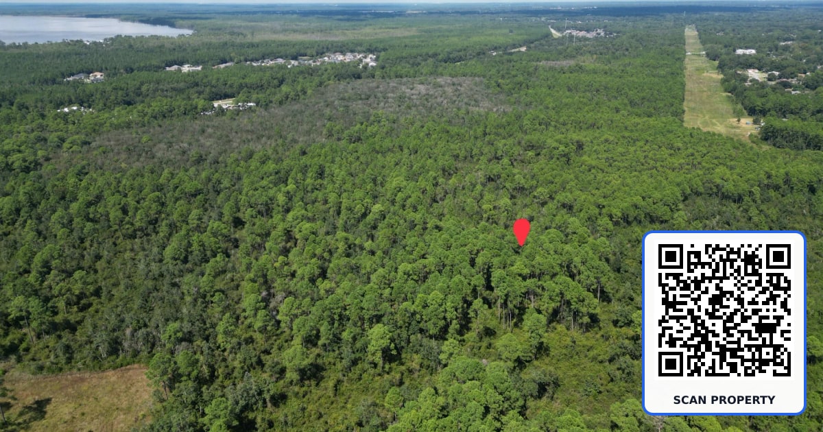 0 Mier Henry Road property photo