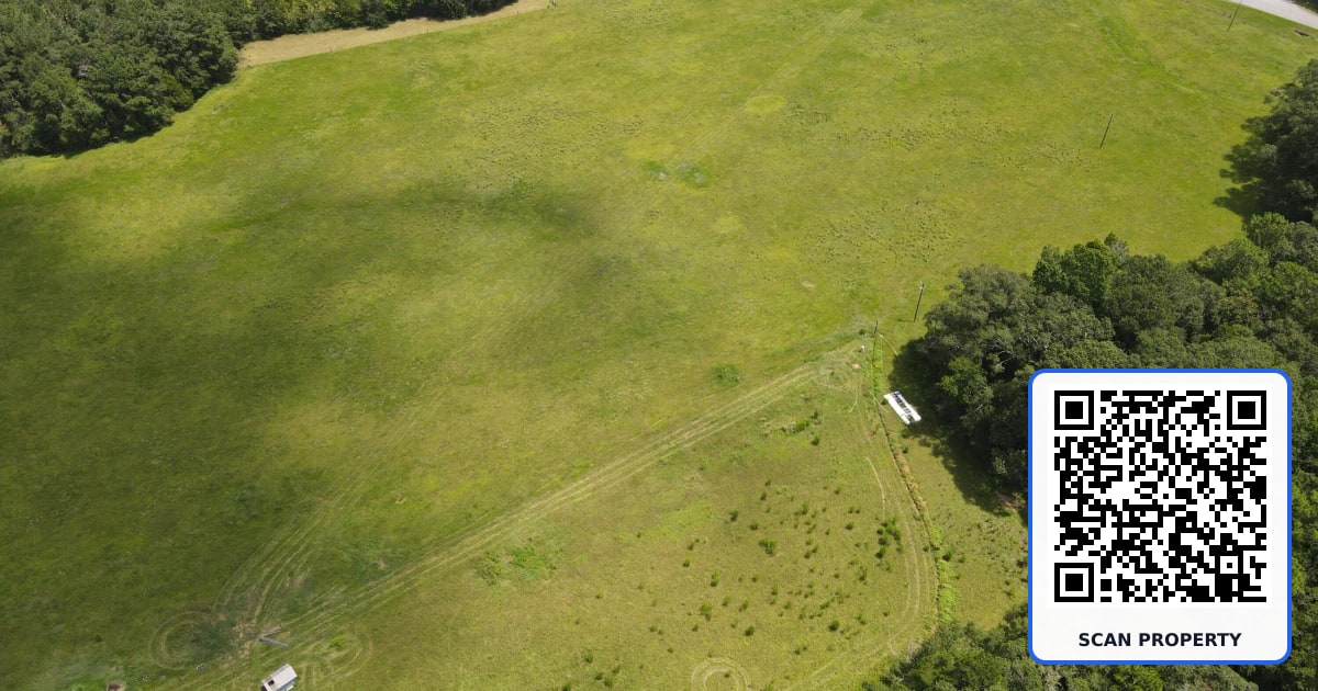 3928 E Co Highway 181 property photo