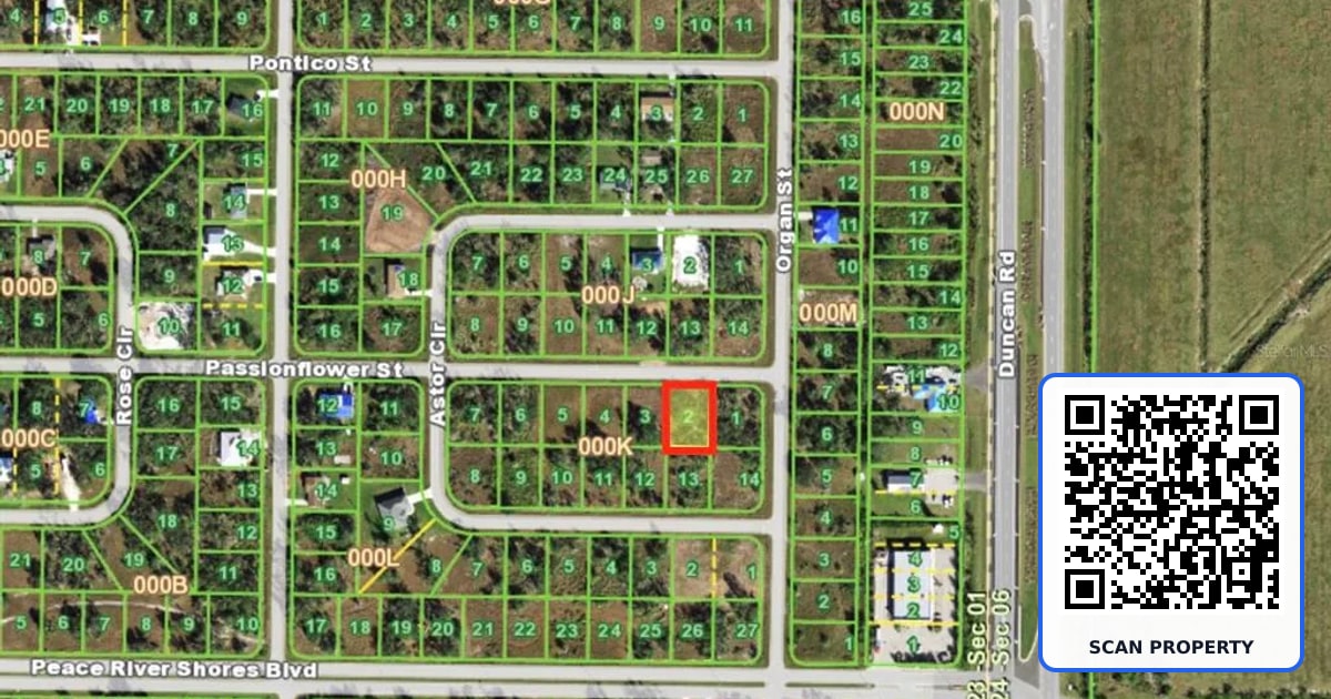 29473 PASSION FLOWER STREET property photo