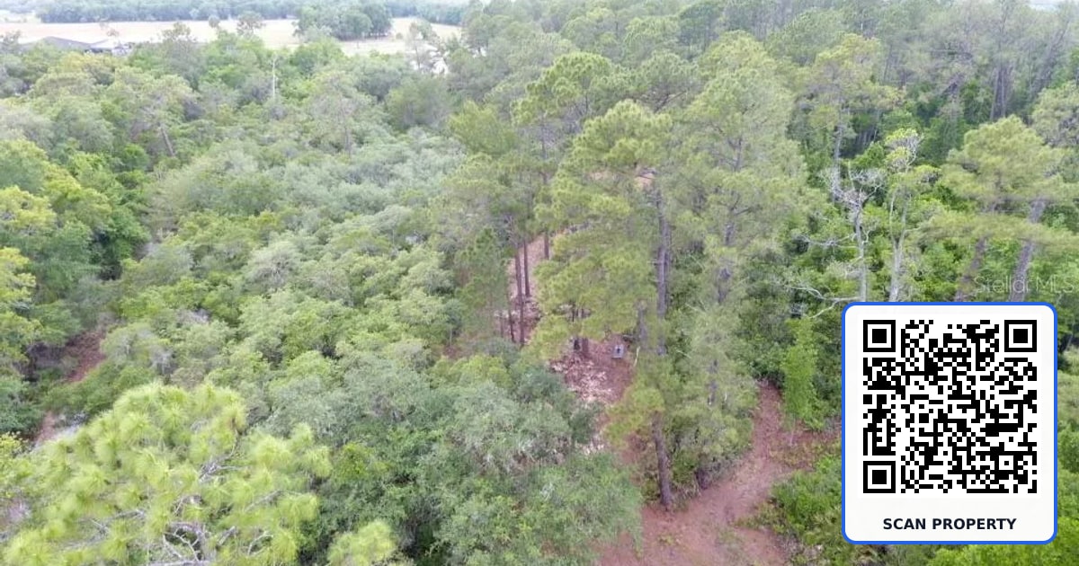 155 SNAKE HILL ROAD property photo