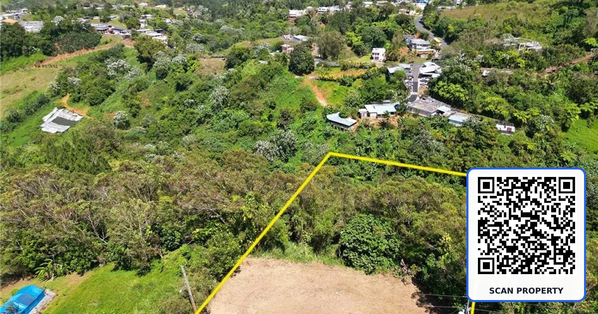 St. 809 CEDRO ARRIBA SECTOR SANTA TERESITA II UNIT 2 property photo