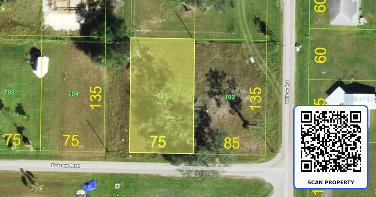 30242 BALSAM BOULEVARD property photo