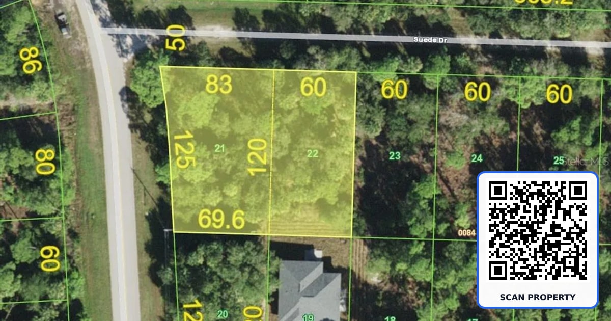 27051 SUEDE DRIVE property photo
