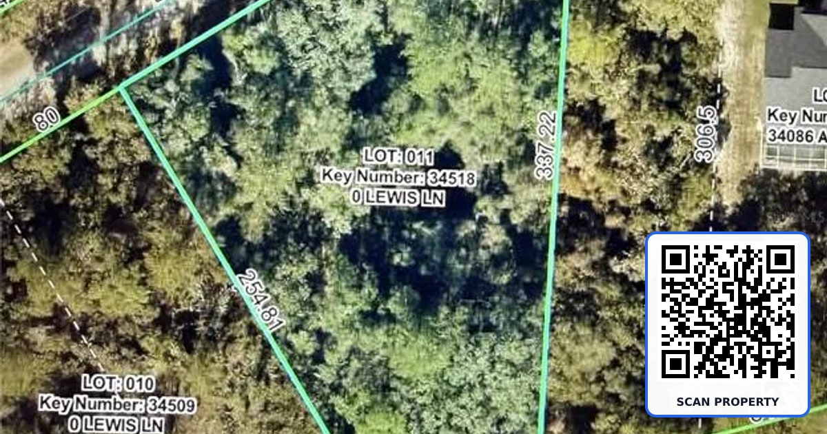 LEWIS LANE property photo