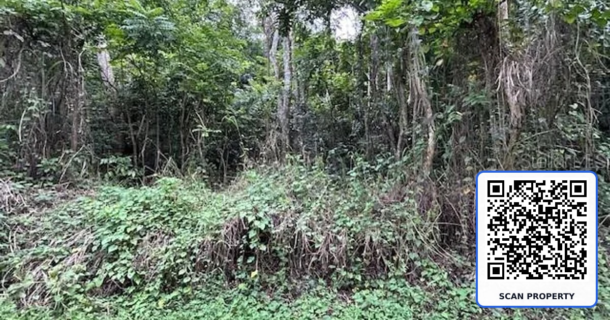 Bo. Candelaria PR 647 CAMPO NUEVO -AZUCENA ST. UNIT #1 property photo