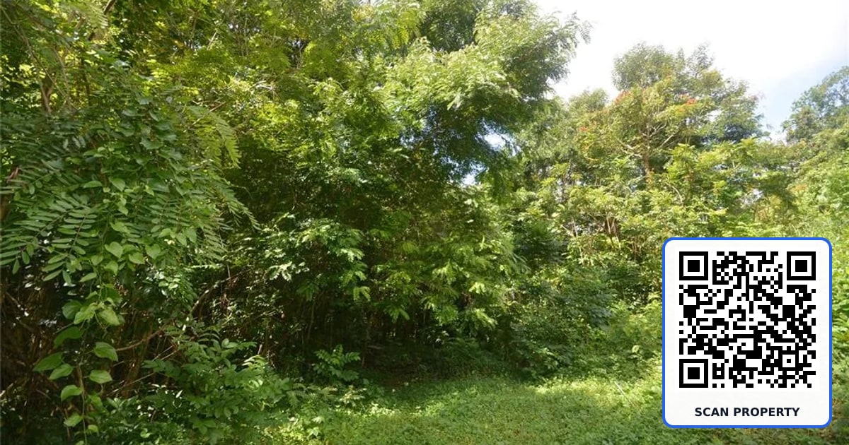 Bo. Marzan PR-820 property photo