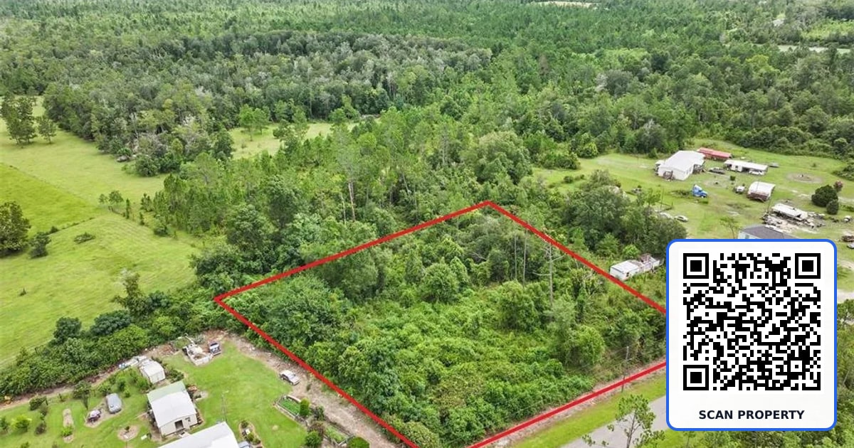 0 OLD PANAMA HIGHWAY property photo
