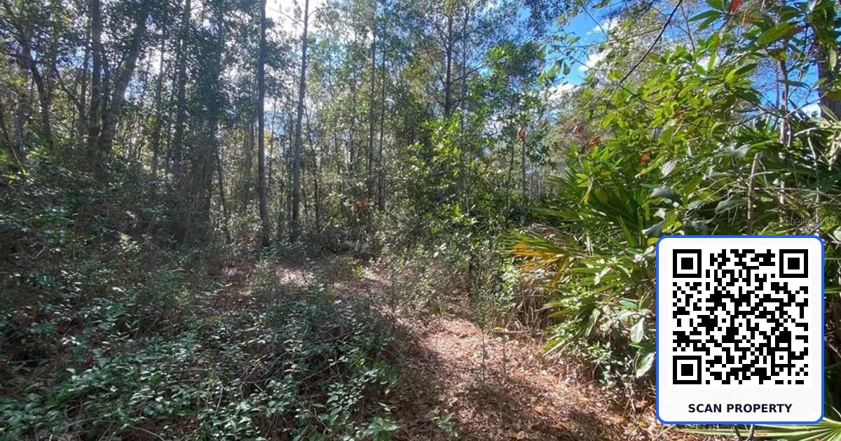 820 OLD BUBBLY ROAD property photo