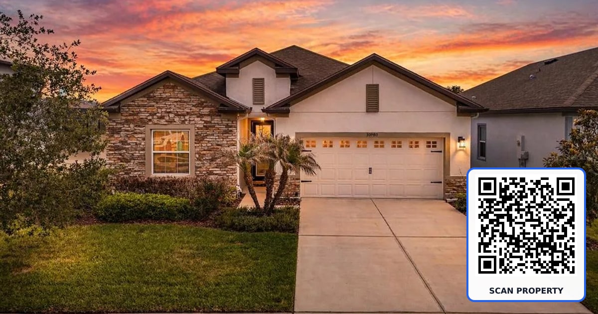 30980 JAZZ LEAF PLACE property photo