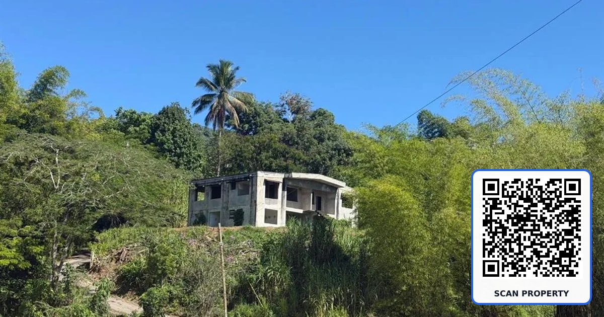 CARR 10 KM 43.3 BO SALTO ABAJO property photo