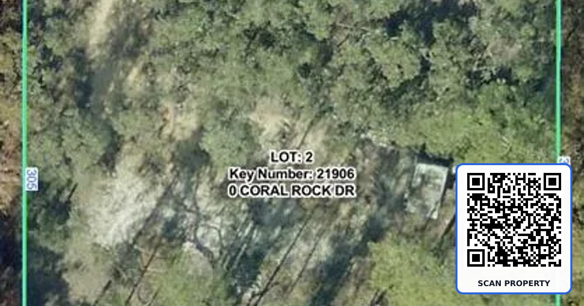 33258 CORAL ROCK DRIVE property photo