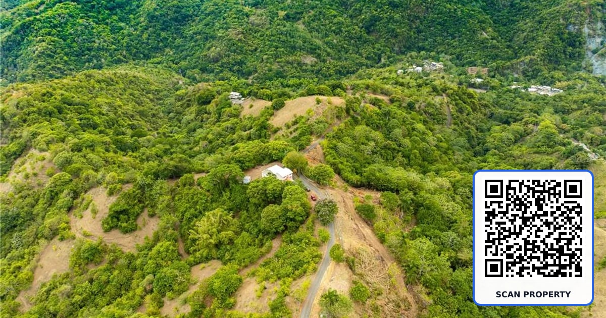 SR 365 KM 6.4 INT TABONUCO WARD property photo