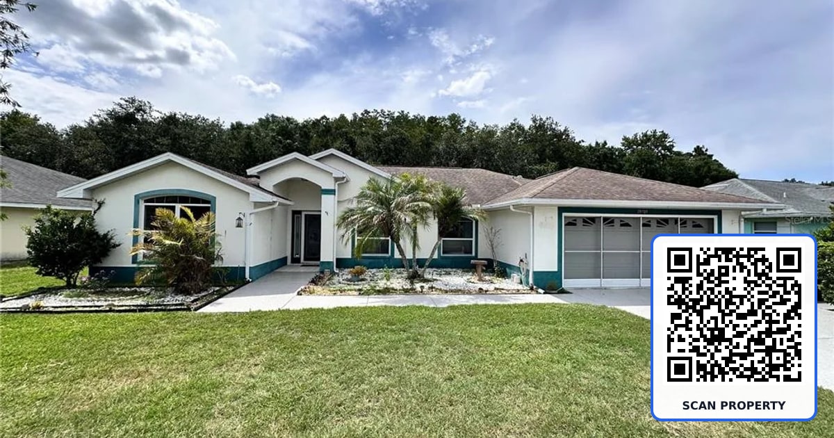 29439 SCHINNECOCK HILLS LANE property photo