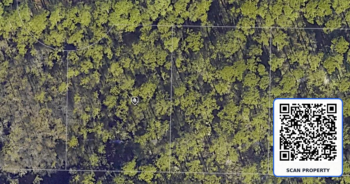 30-2S-20-33308-000-0120 LONG LEAF CIRCLE property photo